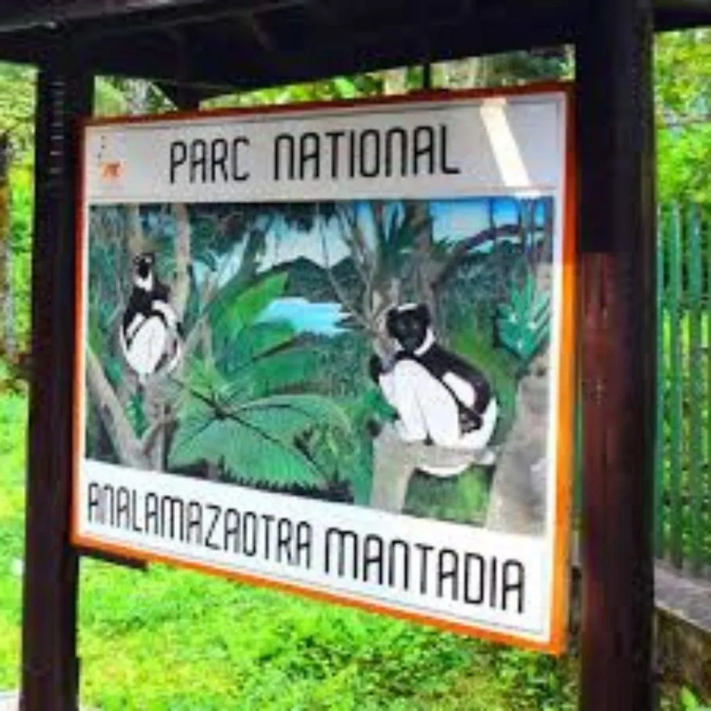 Analamazaotra National Park