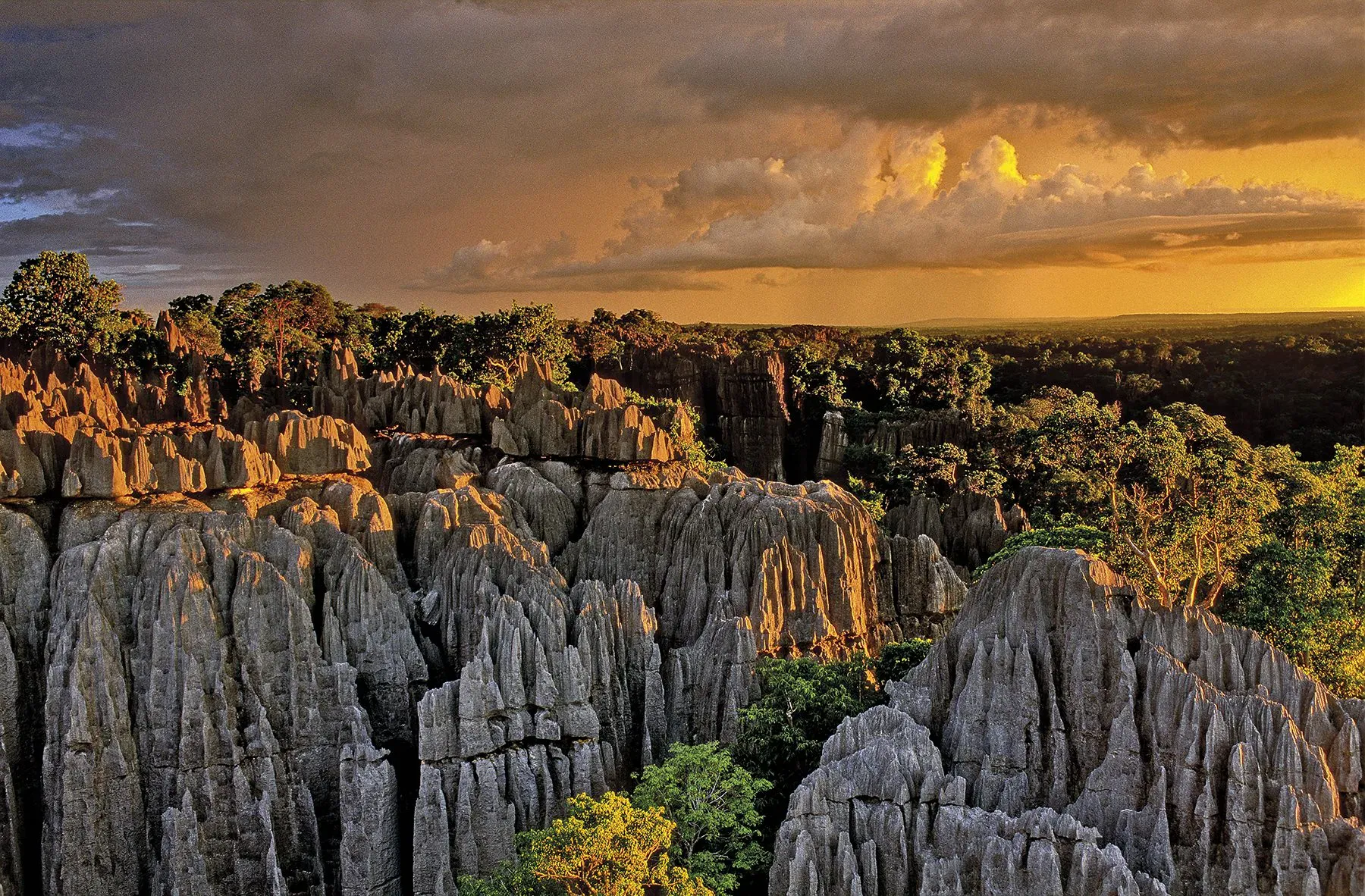 BEMARAHA